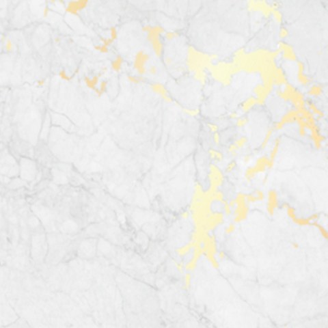 Marble & Gold backdrop