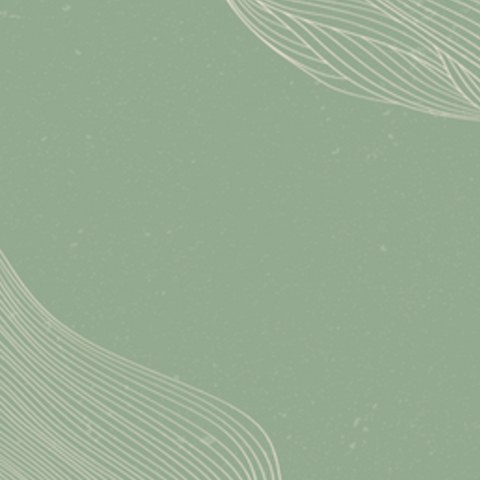 Sage Green Abstract backdrop