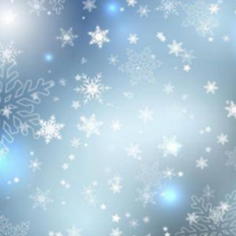 Winter Wonderland backdrop